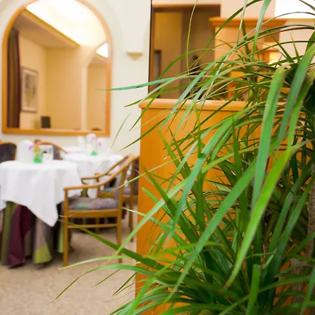 Blumen Collection By Gsa