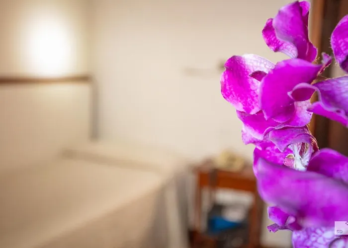 Blumen Collection By Gsa ボローニャ